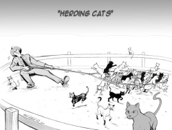 Herding_Cats