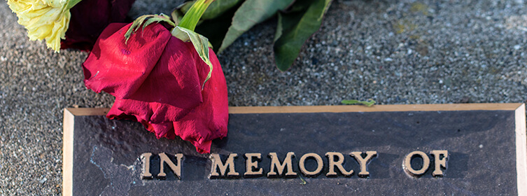 Rose on top of memorial plaque