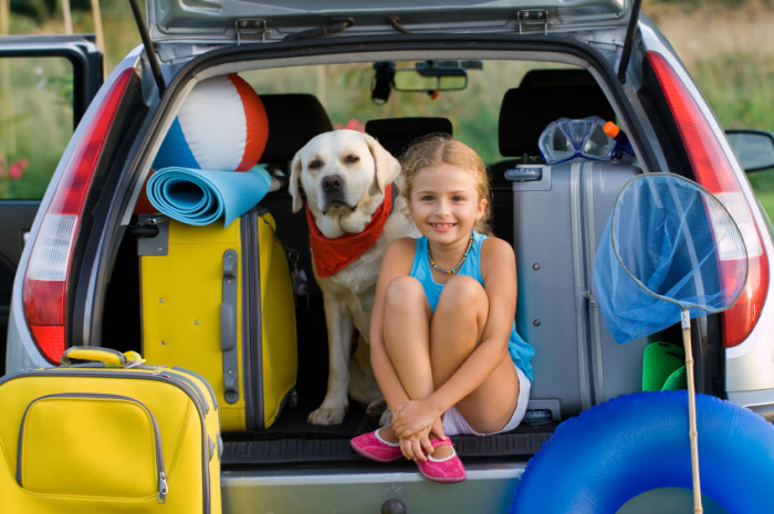 Girl-and-dog-in-truck-700x465