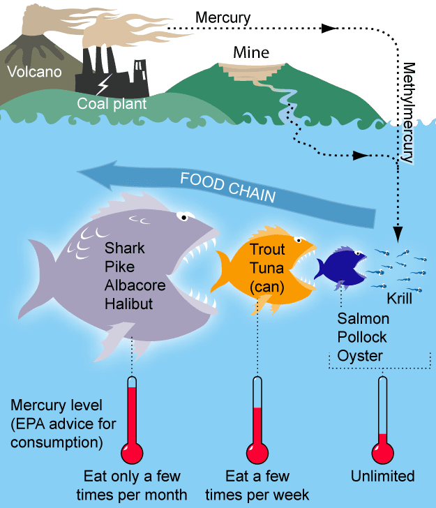 FDA, mercury