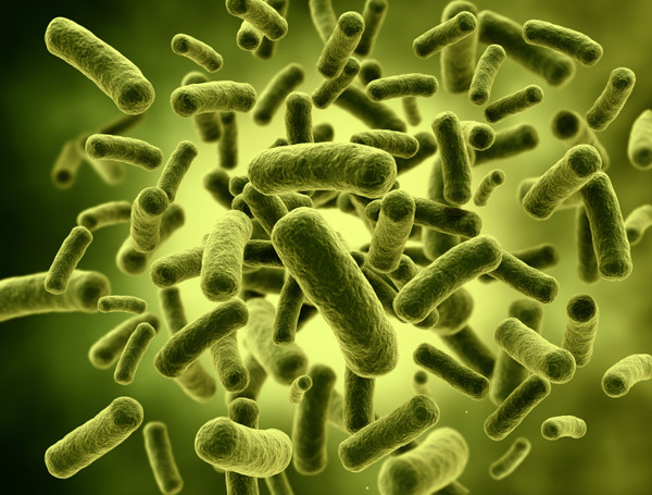 Bacteria high resolution 3d render