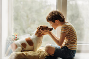A boy in a striped shirt sits by a window, gently holding a dog’s face.
