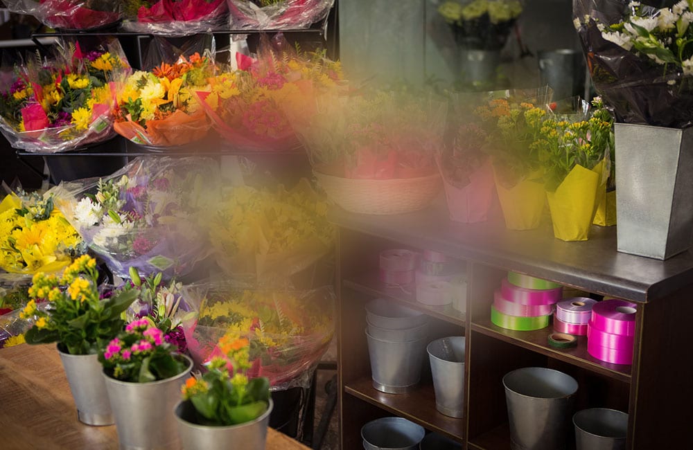 A photo of a flower stand simulates bull's eye maculopathy due to retinal toxicity, where the center of the image is blurred. This is just one of the symptoms of retinal maculopathy.