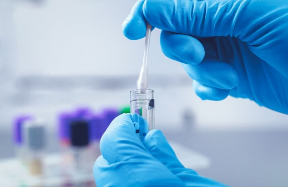 A closeup of hands swabbing a test tube in blue lab gloves indicates medical research. Belviq cancer concerns have grown from independent studies that link the weight loss drug to cancer.