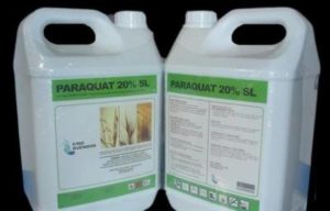 Two white plastic containers labeled "Paraquat 20% SL" with product details and handles.