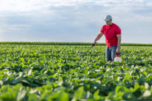 Person in a red shirt spraying crops in a large green field under a partly cloudy sky.