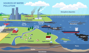 Illustration showing various sources and types of water pollution in a landscape and ocean.