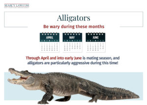 Alligator with text warning of aggressive behavior from April to early June during mating season.