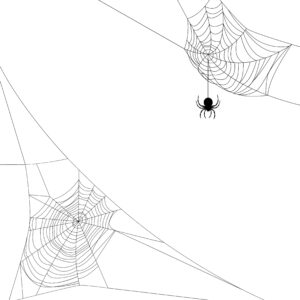 A spider hangs from a web, with two spider webs visible in the white background.